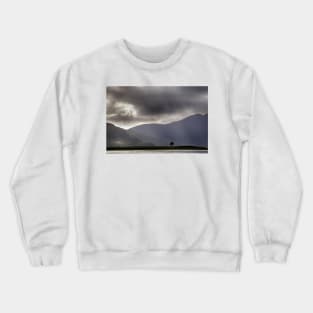 The Lonely Tree - Highlands of Scotland Crewneck Sweatshirt